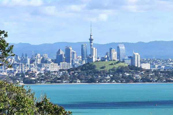 Auckland Retrofit Double Glazing and Replacement Windows and Doors